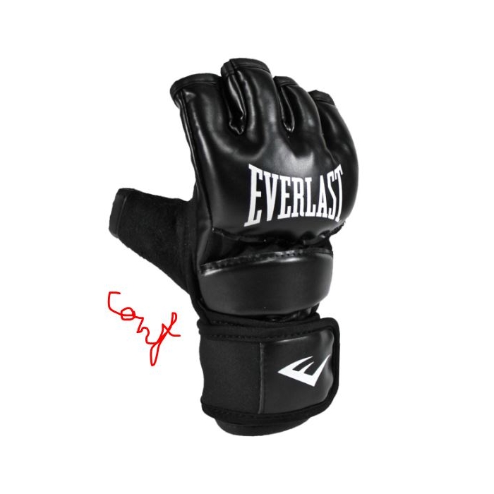 Everlast Core Everstrike mma kindad